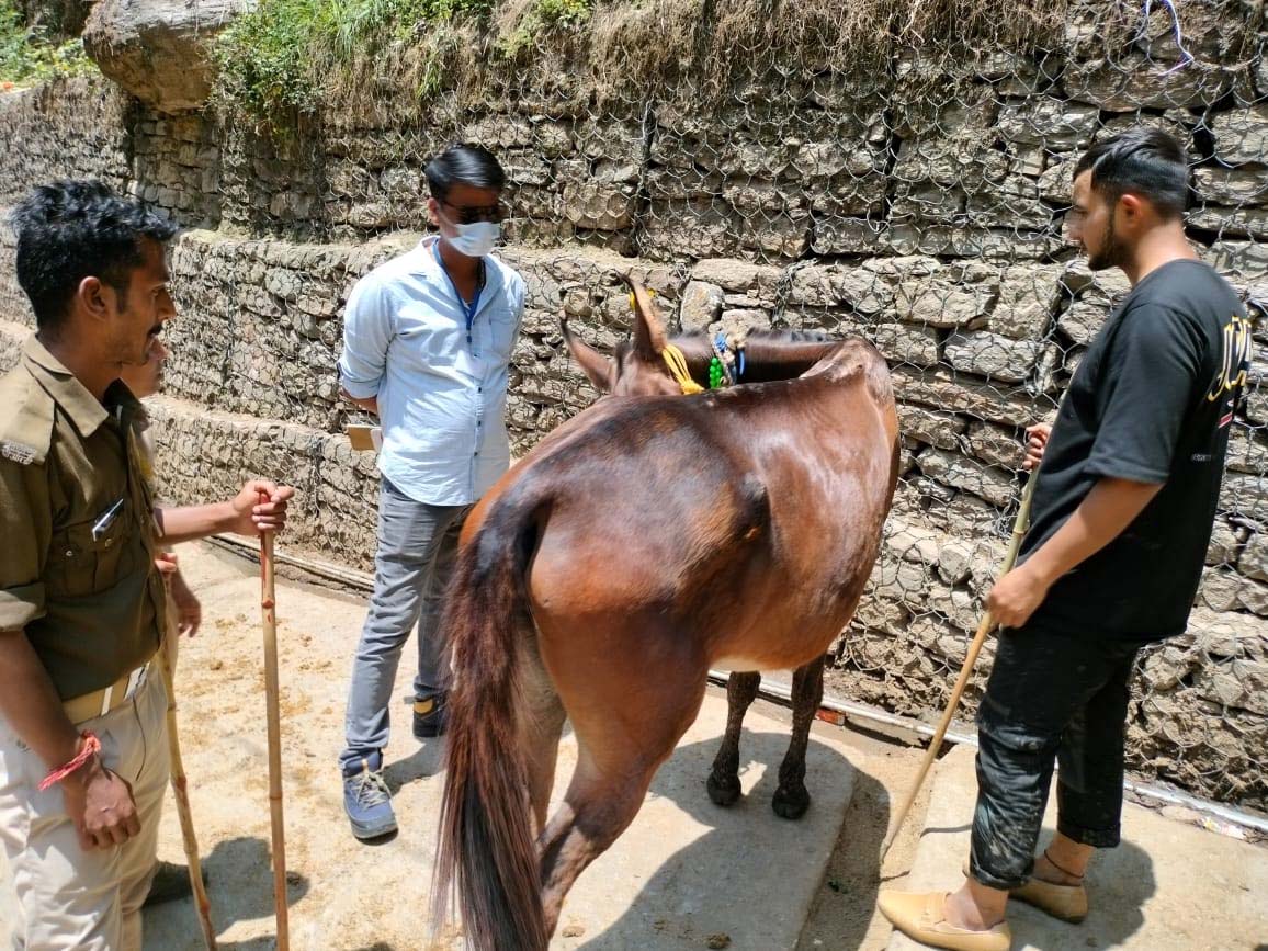 अश्व कल्याणार्थ अन्य सुविधाओं हेतु पशुपालन विभाग एवं जिलाधिकारी मयूर दीक्षित के निर्देशन में किए जा रहे सराहनीय नवीन प्रयास चर्चा का विषय हैं